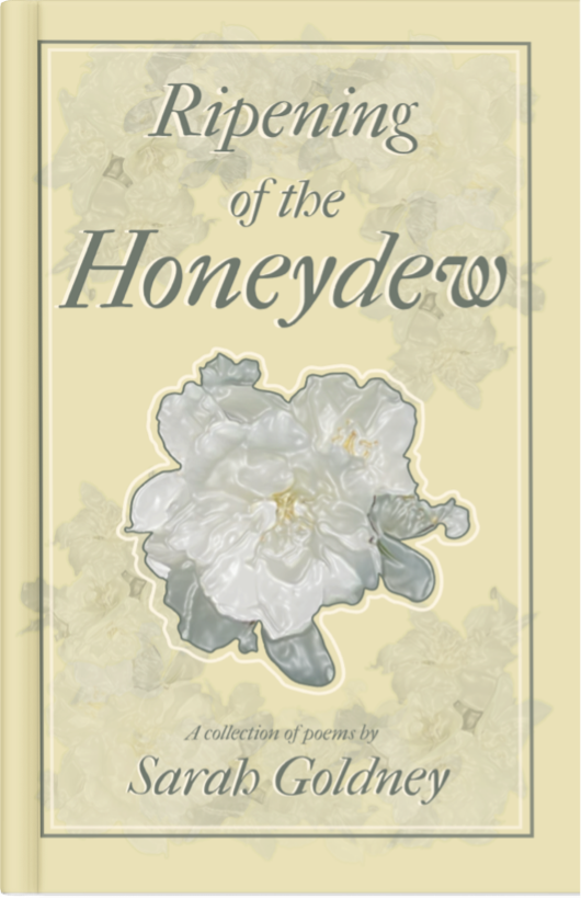 'Ripening of the honeydew'